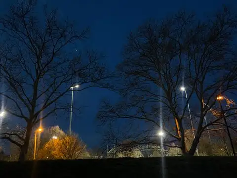 Under the night sky, bare trees embrace the urban glow.